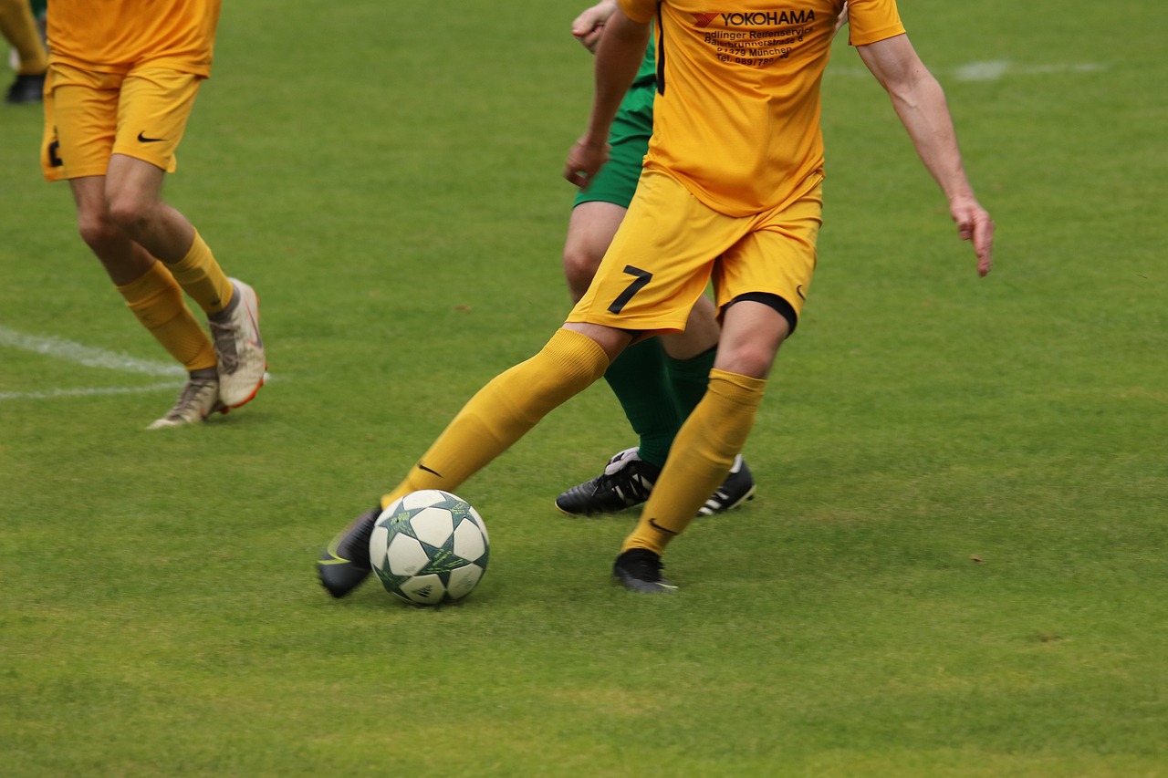 尤其在法国 尤其在法国